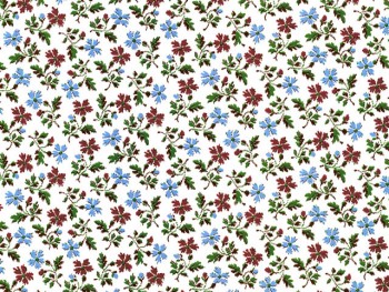 Chintz-Freesia (Colour)