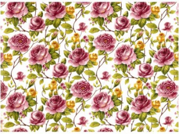 Chintz-Rose Bloom (Colour)