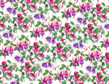 Chintz-Fuchsia (Colour)