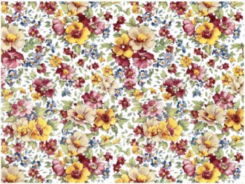 Chintz- Summer Meadow (Colour)