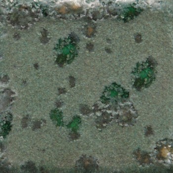 Mayco Jungle Gem - CG-973 Alligator  (4oz)