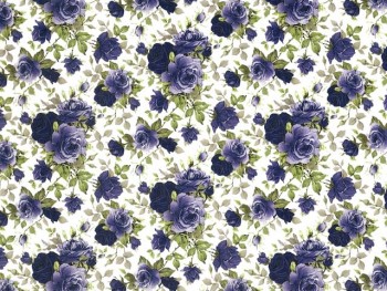 Chintz-Moonlight Rose (Colour)