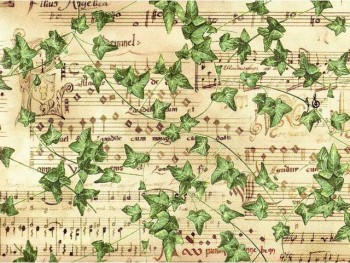 Chintz-Music & Ivy (Colour)