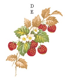 Separate Motives- Strawberry 2 (Small) 4pcs