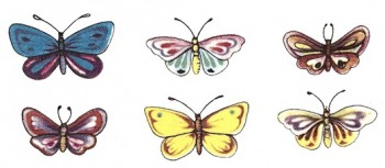 Separate Motives- Butterflies (Small) 5pcs