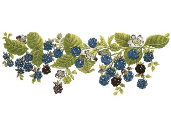 Separate Motives- Fruit in Garden (1)