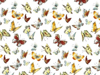 Chintz-Colourful butterfly (Colour)