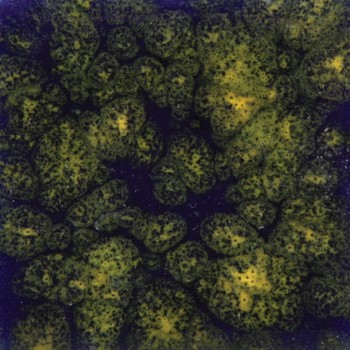 Mayco Jungle Gem - CG-990 Starry Night (4oz)