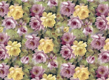 Chintz-Rose Mist (Colour)
