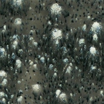 Mayco Crystalities - S-2718 Cosmic Black (4oz)