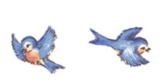 Separate Motives- Birds (Large) 3pcs