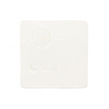 Fired to Cone 9 燒製