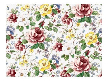 Chintz-Peony (colour)