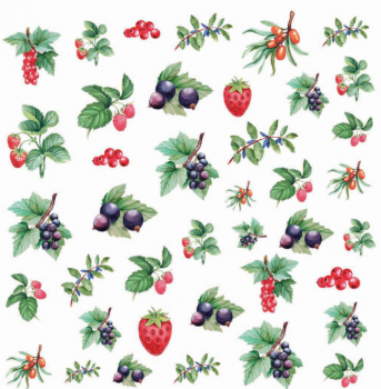 DECORPRINT Decal Paper Chintz - WATERCOLOUR BERRIES 20x20cm