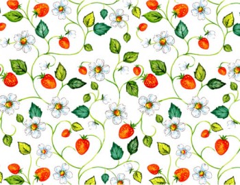 Chintz- Strawberry Trail (Colour)