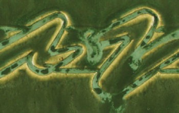 Amaco Potter's Choice - PC-41 Vert Lustre (16oz)