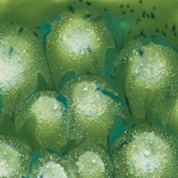 Mayco Crystalities - S-2715 Spotted Kiwi (4oz)