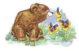 Separate Motives- Bear 5 (Medium) 2pcs