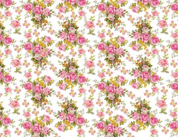 Chintz-Pink Rose (Colour)
