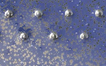 Amaco Potter's Choice - PC-11 Blue Spark (16oz)