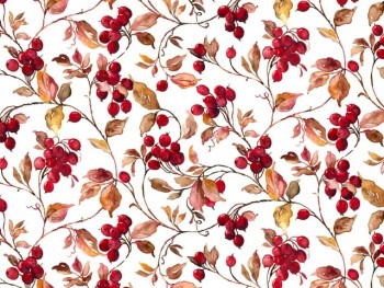 Chintz-Mountain Ash (Colour)
