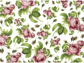 Chintz-June Rose (Pink)