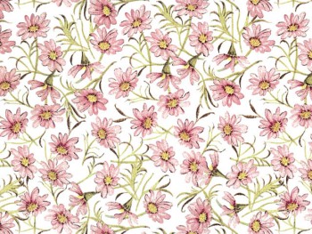 Chintz-Daisy (Pink)