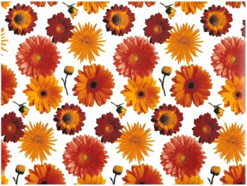 Chintz-Daisy (Orange Yellow)