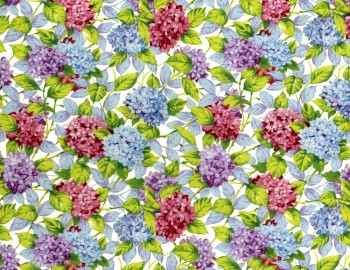 Chintz-Hydrangea (Colour)