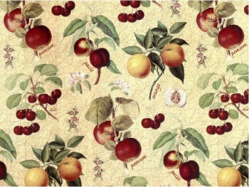 Chintz-Botanic Fruit  (Colour)