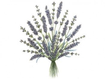 Separate Motives-Lavender(50x50mm)