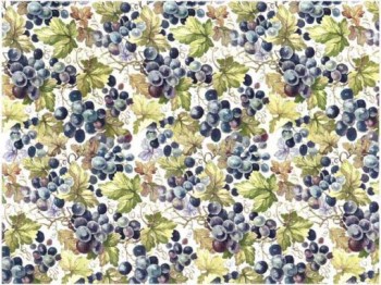 Chintz-Grapevine (Colour)