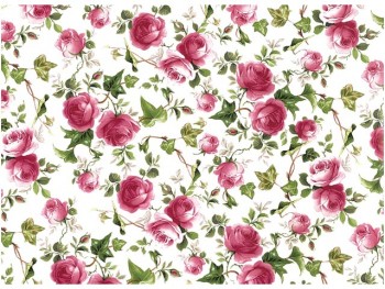 Chintz-Pink Ivy Rose (Cplour)