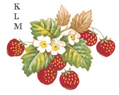 Separate Motives- Strawberry 7 (Large) 2pcs