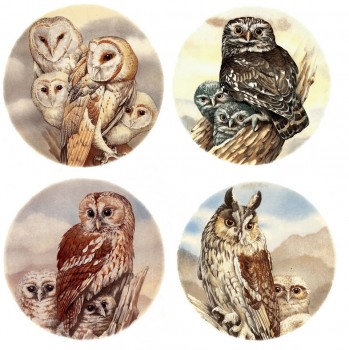 Separate Motives-OWL (1) 2pcs