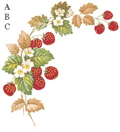 Separate Motives- Strawberry 1 (Small) 4pcs