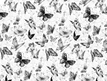 Chintz-Black and White Butterfly (Black and White)