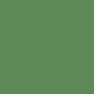 MS-6204 Mason Stain - Victoria Green