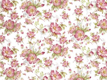 Chintz- Pink Rambling Rose (Colour)