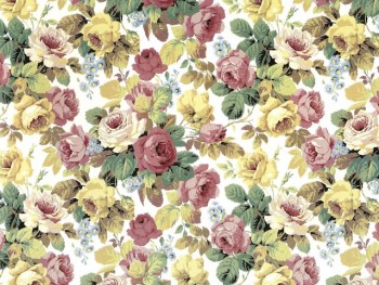 Chintz-Rose painting (Colour)