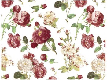 Chintz-Redoute Rose (Red)